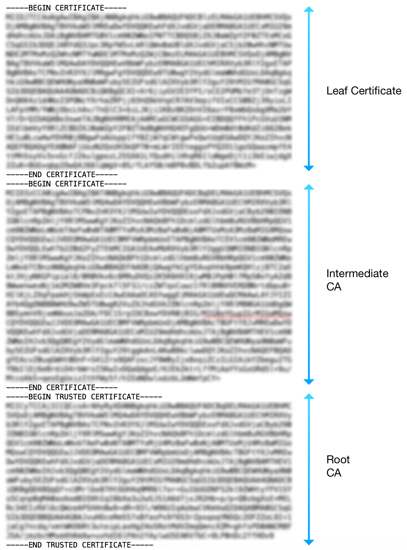 SSL Configuration Certificate Example